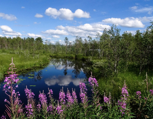 Обои картинки фото природа, реки, озера, простор