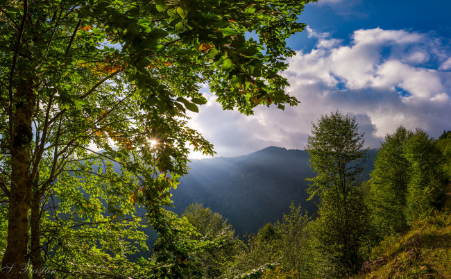 Обои картинки фото природа, пейзажи, простор