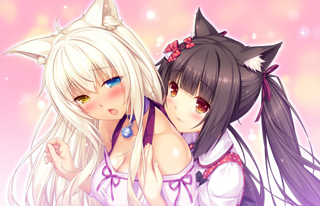 Обои картинки фото аниме, nekopara, некопара