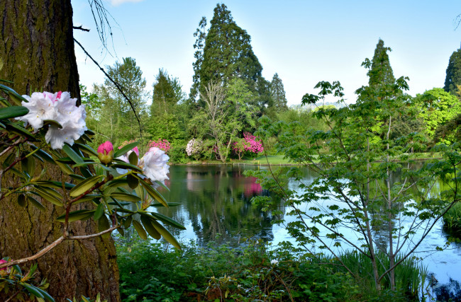 Обои картинки фото природа, реки, озера, простор