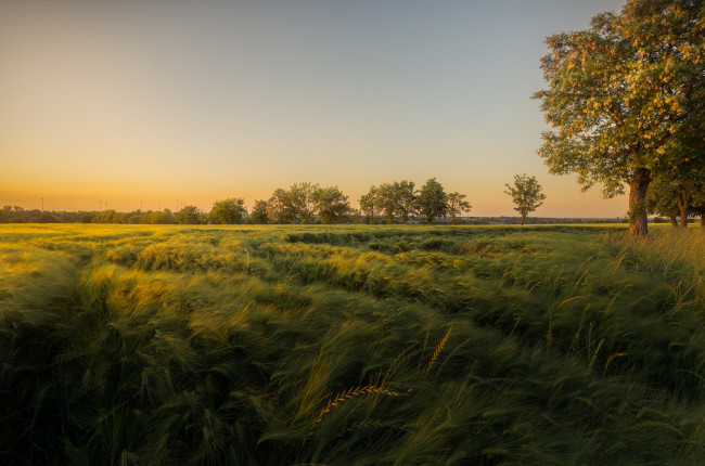 Обои картинки фото природа, поля, простор