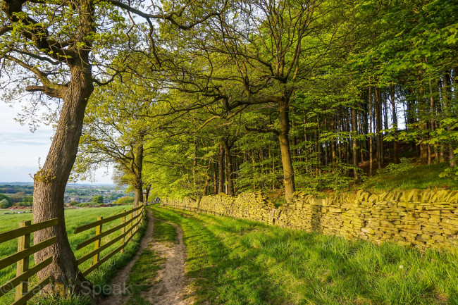 Обои картинки фото природа, дороги, простор