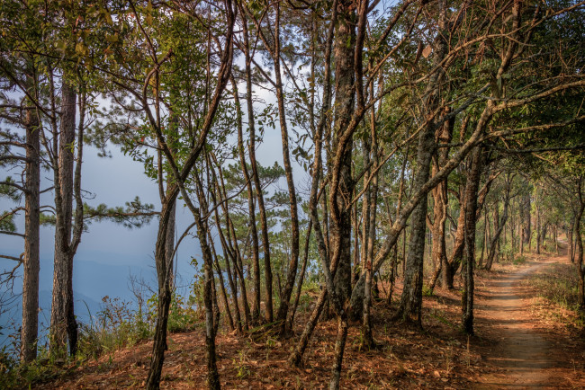 Обои картинки фото природа, дороги, простор