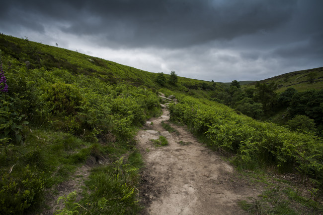 Обои картинки фото природа, дороги, простор