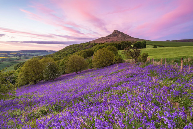 Обои картинки фото природа, луга, простор