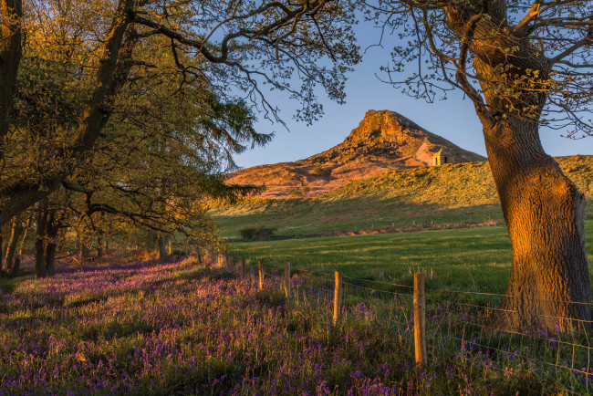 Обои картинки фото природа, пейзажи, простор