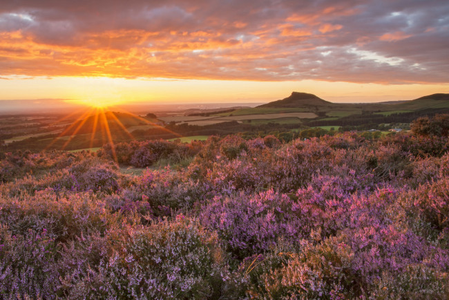 Обои картинки фото природа, восходы, закаты, простор