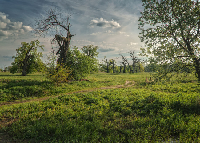 Обои картинки фото природа, пейзажи, простор