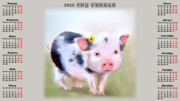 Картинка календари праздники +салюты поросенок свинья