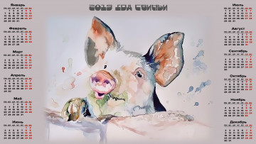 Картинка календари праздники +салюты свинья поросенок