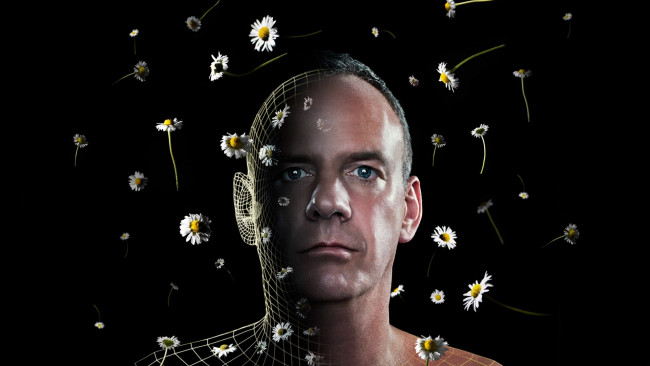 Обои картинки фото fatboy-slim, музыка, -временный, музыкант