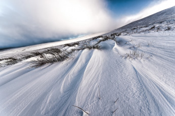 Картинка природа зима снег