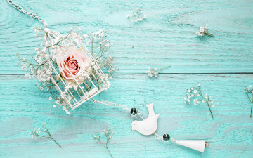 Картинка цветы разные+вместе romantic