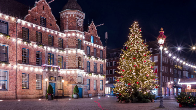 Обои картинки фото праздничные, ёлки, площадь, елка, иллюминация