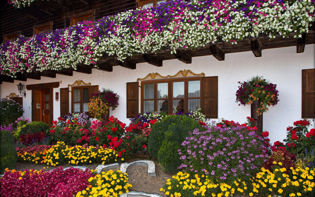 Обои картинки фото цветы, разные вместе, клумбы