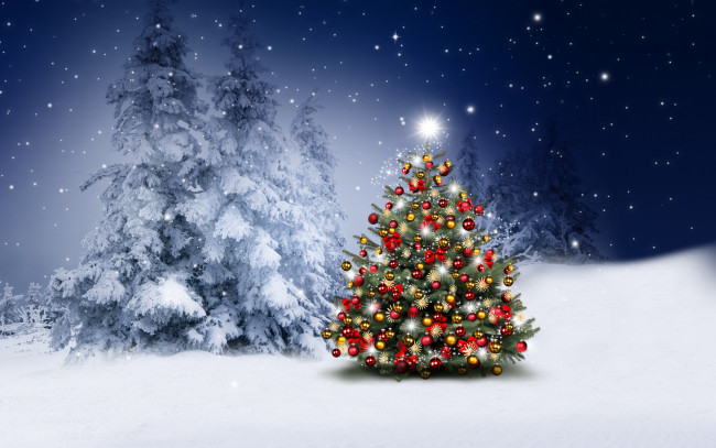 Обои картинки фото праздничные, ёлки, merry, christmas