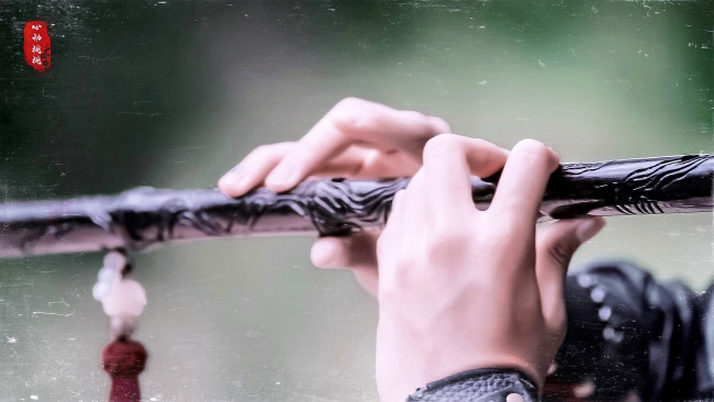 Обои картинки фото кино фильмы, the untamed, флейта, руки