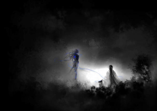 Обои картинки фото аниме, mo dao zu shi, лань, ванцзи, вэй, усянь, тьма