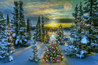 обоя праздничные, ёлки, новогодняя