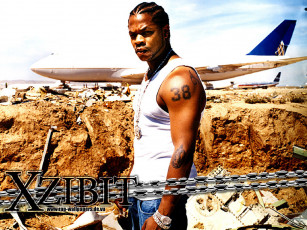 обоя музыка, zibit