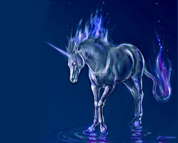 Обои картинки фото фэнтези, единороги