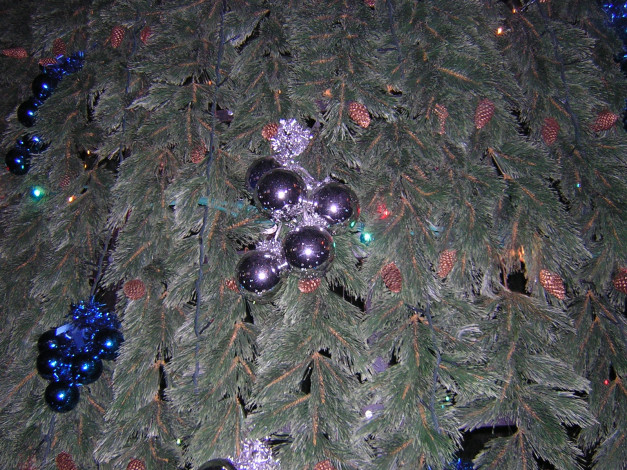 Обои картинки фото праздничные