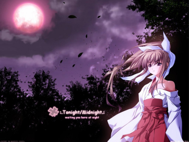 Обои картинки фото аниме, *unknown, другое