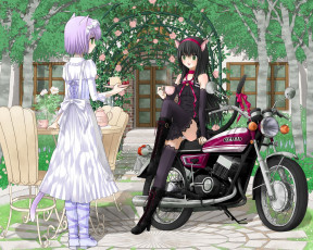 Картинка аниме animals