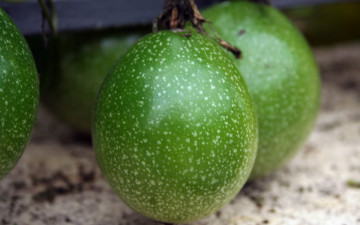 Картинка еда