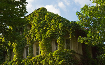 Картинка города здания дома