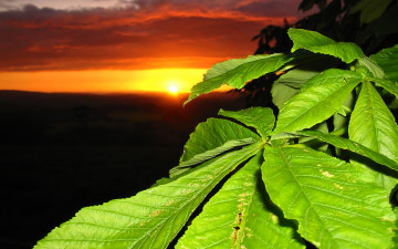 Картинка природа