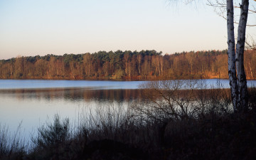 Картинка природа