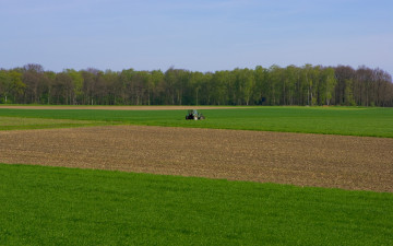 Картинка природа