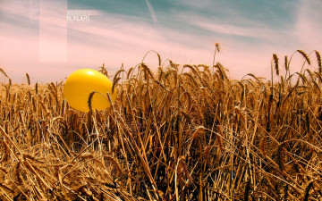 Картинка природа