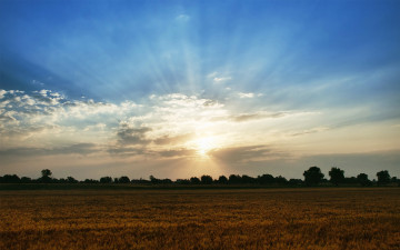 Картинка природа