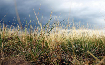 Картинка природа