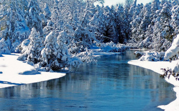 Картинка природа реки озера