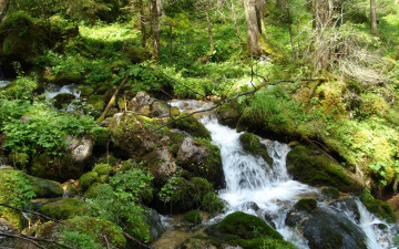 Картинка природа реки озера