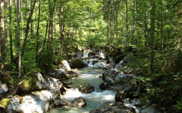 Картинка природа реки озера