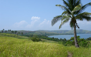 Картинка природа тропики