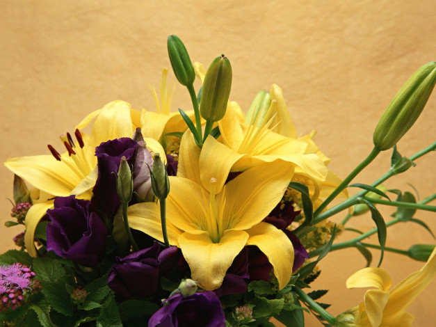 Обои картинки фото цветы, букеты, композиции