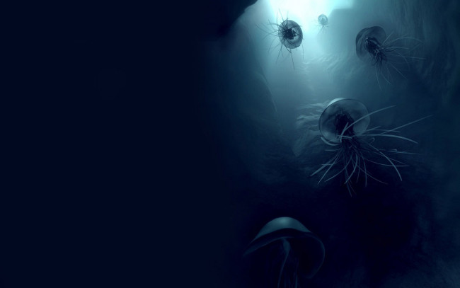 Обои картинки фото 3д, графика, sea, undersea, море