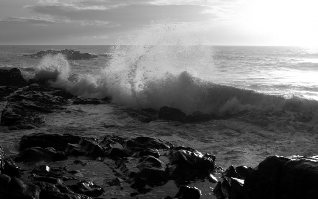 Обои картинки фото природа