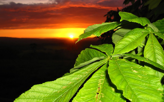 Обои картинки фото природа