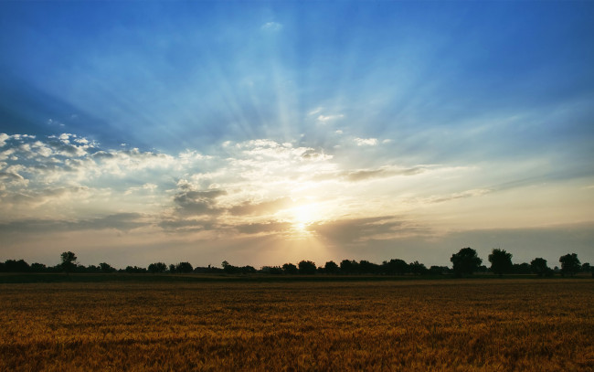 Обои картинки фото природа