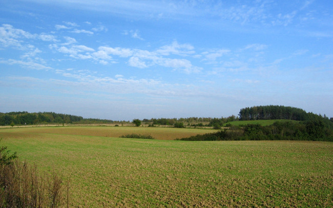 Обои картинки фото природа