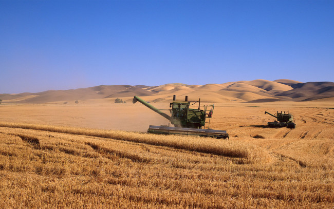 Обои картинки фото природа