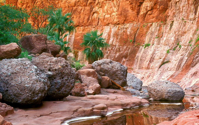 Обои картинки фото природа