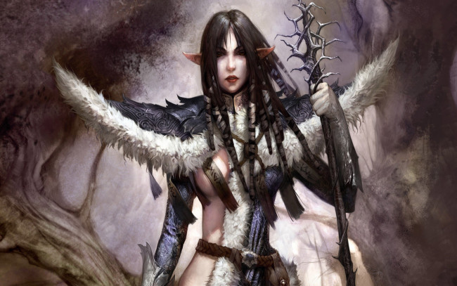 Обои картинки фото видео, игры, disciples, iii, renaissance