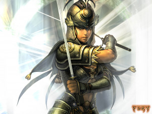 Картинка видео игры fury unleash the